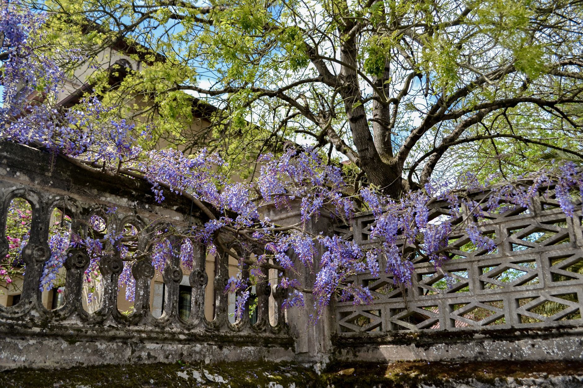 Giardino Bardini