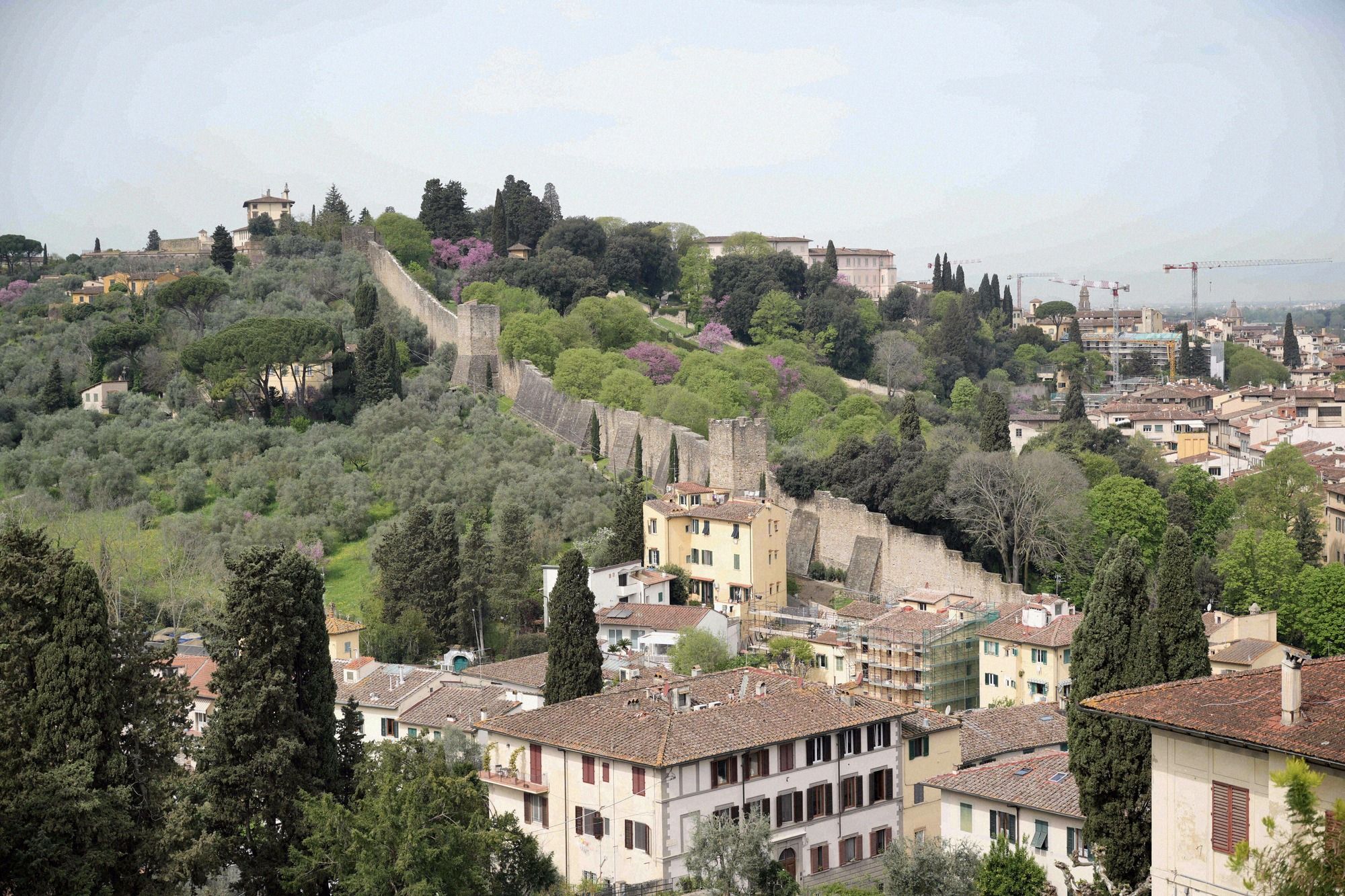 Blick auf den bewaldeten Oltrarno-Huegel mit der historischen Stadtmauer, Zypressen und Olivenhainen suedlich von Florenz.